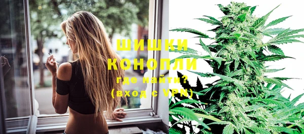 мдпв Корсаков