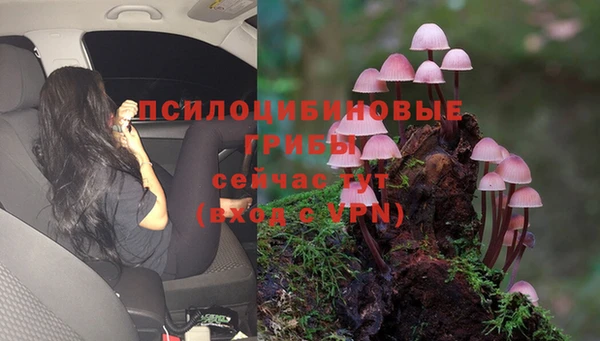 хмурый Коряжма