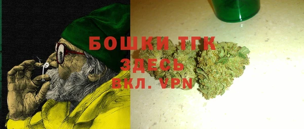мдпв Корсаков