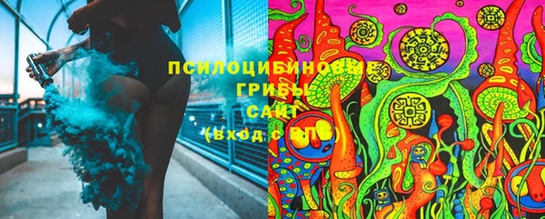 мдпв Корсаков