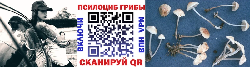 Галлюциногенные грибы GOLDEN TEACHER сколько стоит Щёкино